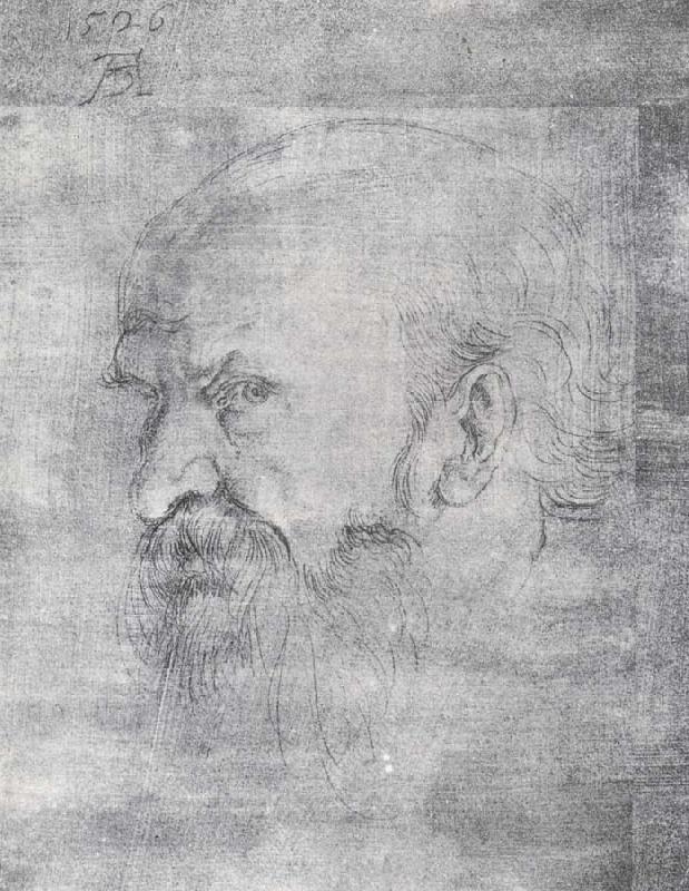 Albrecht Durer The Head of St.Paul oil painting image